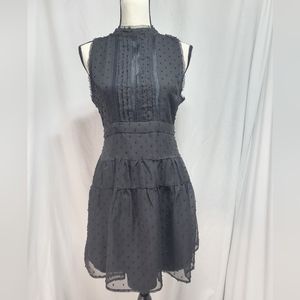 Francescas swiss dot lace overlay sleeveless lined fit and flare dress, size S